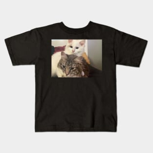 Ragdoll  kitten and fluffy tabby by suzanne beasley Kids T-Shirt